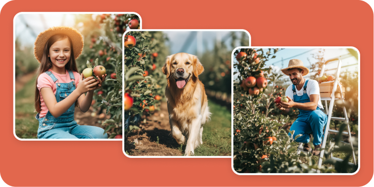 Multiple images of an apple farm are generated in a unified style