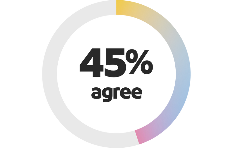 donut chart showing 45 per cent agree